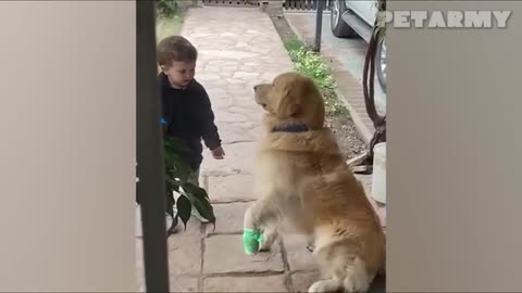 Dog & Baby Besties: Cutest Friendship That Will Melt Your Heart! 🐶👶😂
