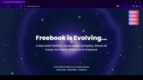 A Walk through the Freebook Network