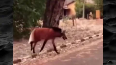 😱👻 You Won't Believe What They Caught on Camera! Creepy Paranormal Videos | TheHauntingHour