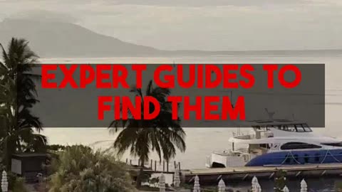 Afford Business Class & 5-Star hotels? Mighty Travels Premium expert guides. Start free!