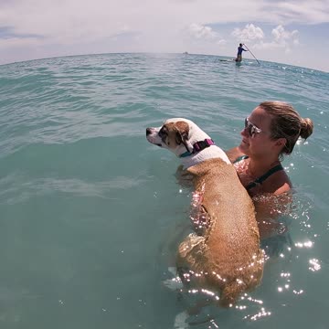 Jupiter, FL Dog Beach