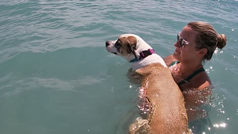 Jupiter, FL Dog Beach