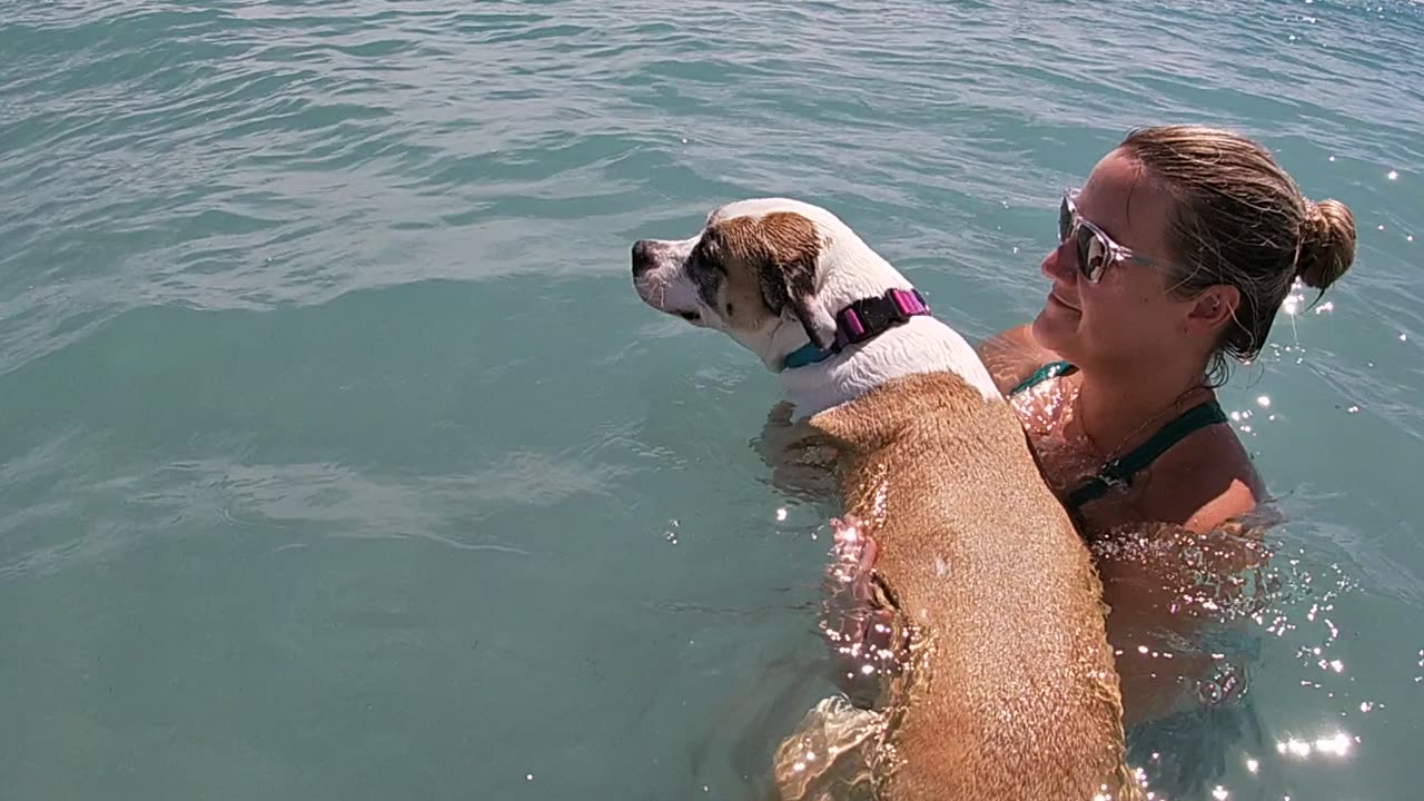 Jupiter, FL Dog Beach