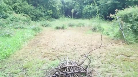 Transformed And Chopped