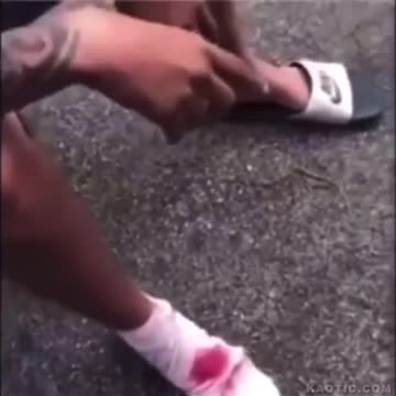 Russian Roulette with niggers! 🐒🔫🐒🔫