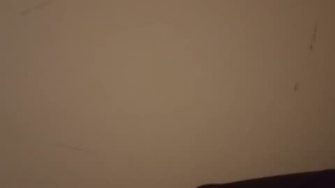 WATCH ME STARE AT A WALL