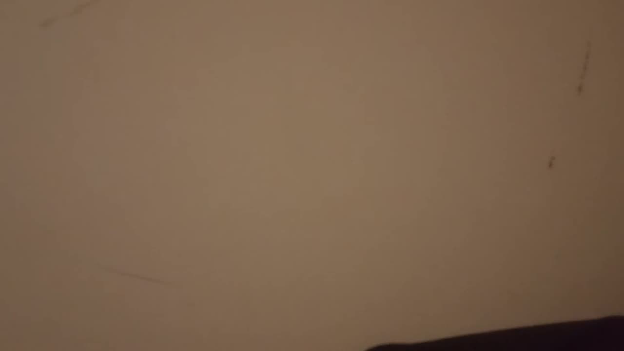 WATCH ME STARE AT A WALL