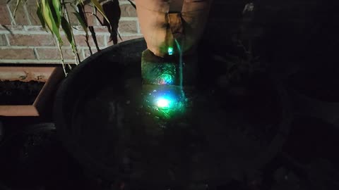 Apartment Pond Makeover Small Space Oasis 2025