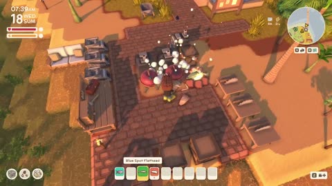 Australian Animal Crossing - Dinkum!