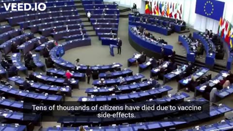 “MEP Mislav Kolakušić addressing the French President Emmanuel Macron in the European Parliament“