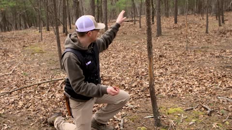 How to Scout for Deer