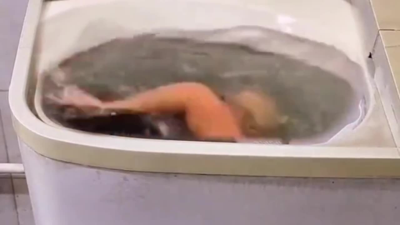 Amazing video viral video