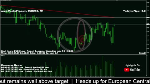 🐋 MECHAPIP FOREX TRADING 🐋