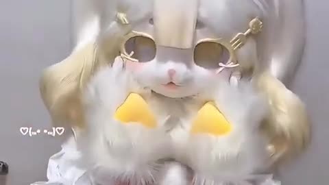Yellow Paws