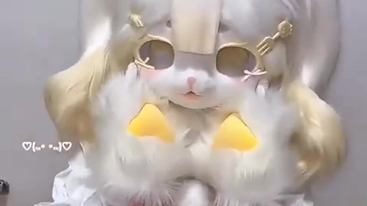 Yellow Paws