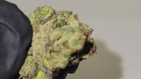 Hawaiian Runtz Ounces