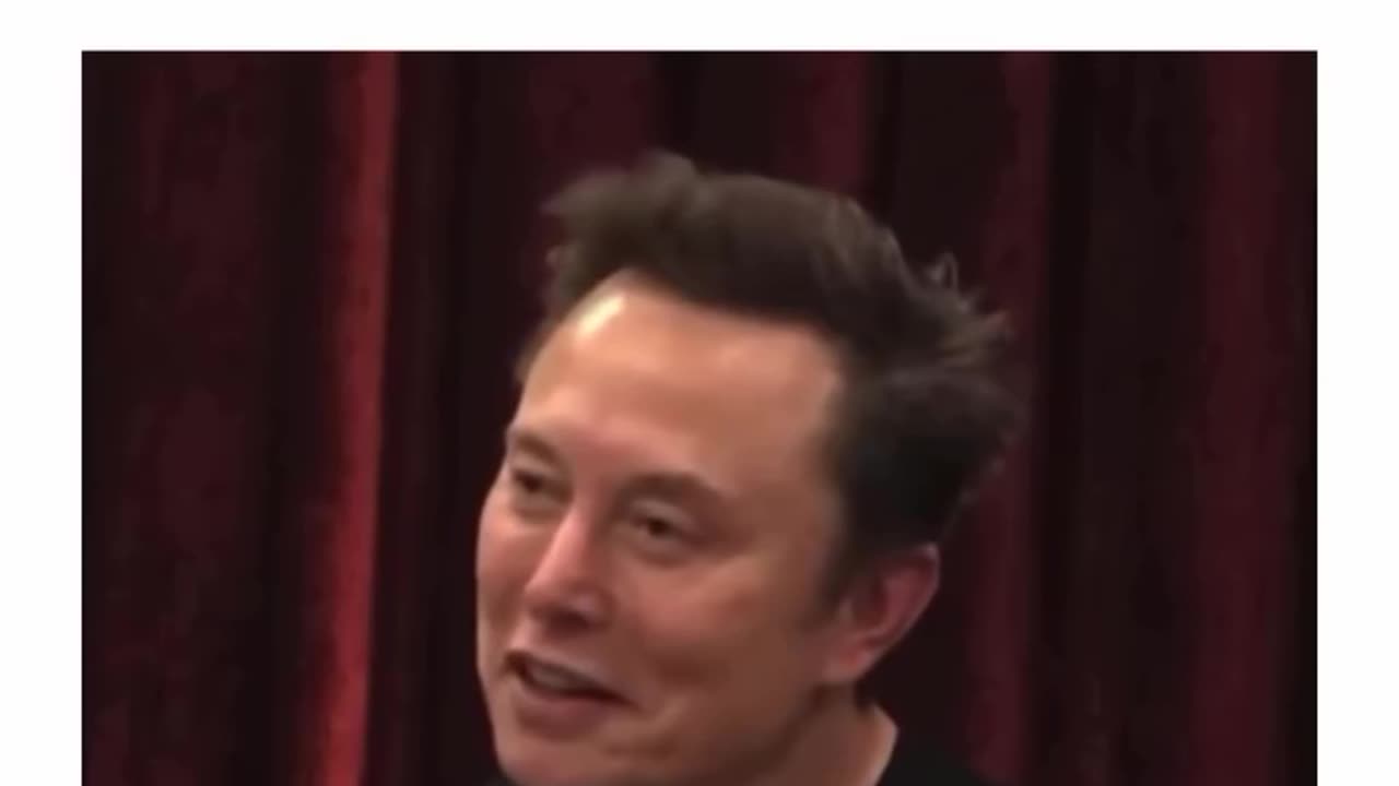 Elon - The man the slaves love to hate