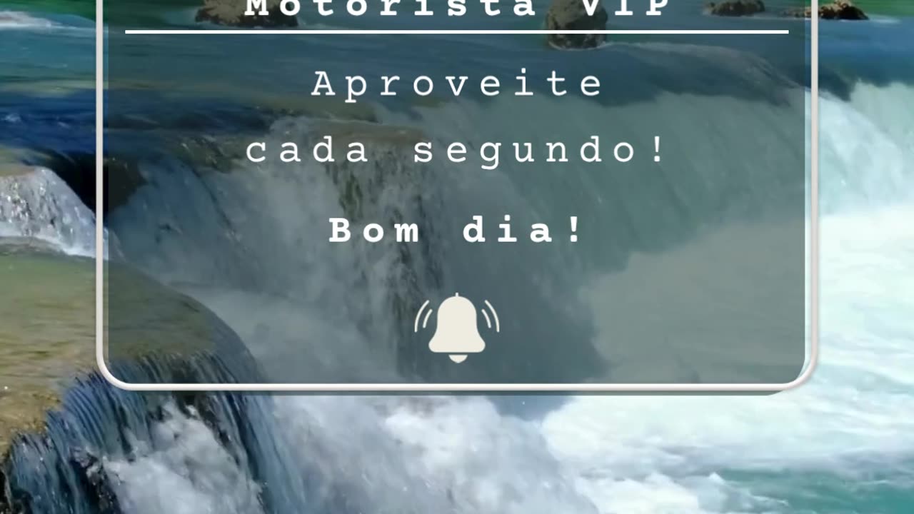 Motorista VIp