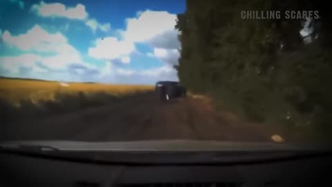 8 Most Disturbing Things Caught on Dashcam Footage