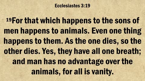 Ecclesiastes 3