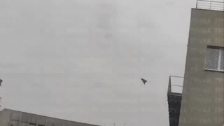 🚀🔥 Ukraine Russia War | Geran-2 Drone Strike Hits Target in Sumy | RCF