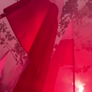 Polish Independence Day celebrations, 11.11.2025