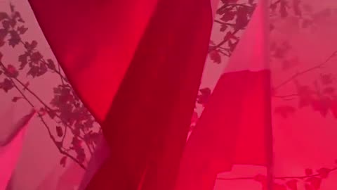 Polish Independence Day celebrations, 11.11.2025