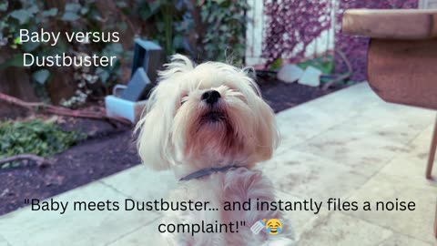 "Baby vs Dustbuster – Cutest Reaction Ever!"