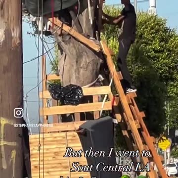 WOW! Homeless Man Freely Constructs A Three-Story Treehouse in Los Angeles