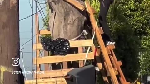 WOW! Homeless Man Freely Constructs A Three-Story Treehouse in Los Angeles