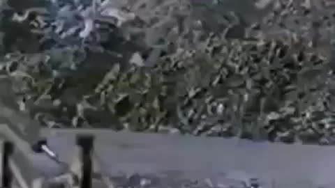 Fosforlu 1989 - İbrahim Tatlıses - Sevtap Parman