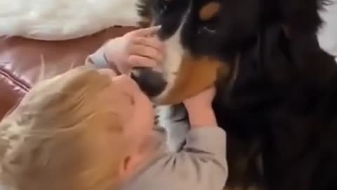 Help Your Pet Naturally!