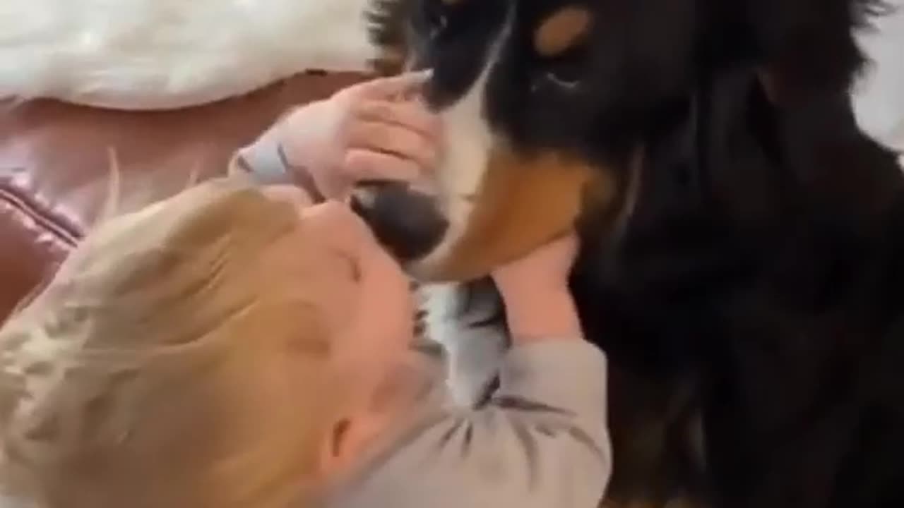 Help Your Pet Naturally!