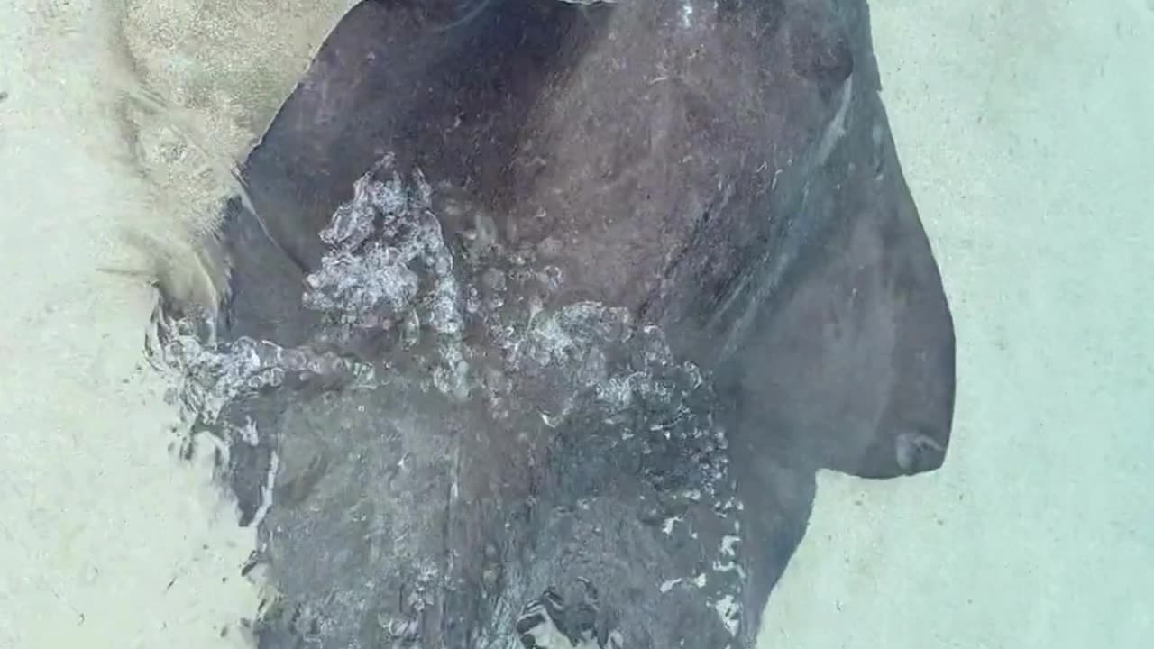 Would You Swim in these Waters?