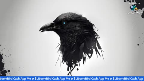 11.14.2025 - Tyrant Bird - What Do The Oracles Have To Say To Me?