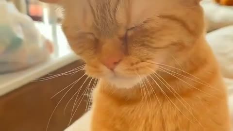 Relaxing massage