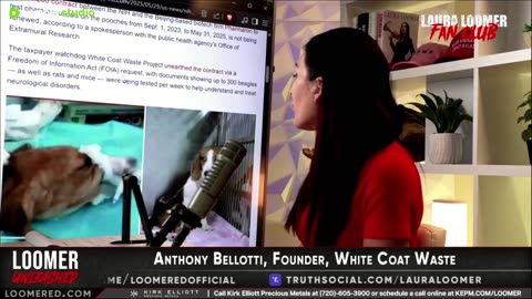 simulcast - EP124: They're Saving The Dogs! They're Saving The Cats!