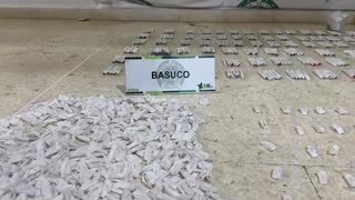 Guías caninos hallaron más de 4.000 dosis de droga