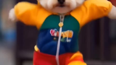 Dogy Dance