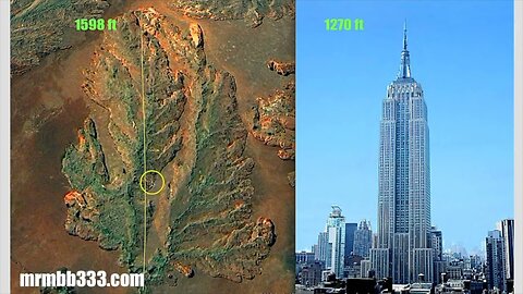 The original forest on flat earth part 21, How tall were these Giant Trees?