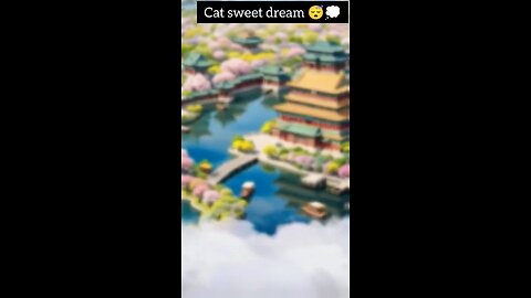 cat sweet dreams story