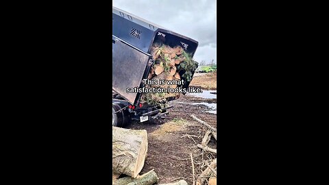 Dumping wood