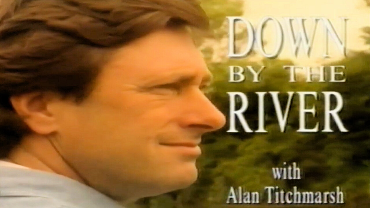 Down by the River (Test)
