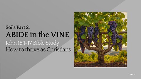 John 15:1-17 Bible Study - Abide in the Vine; how to thrive as Christians (Soils Part 2)
