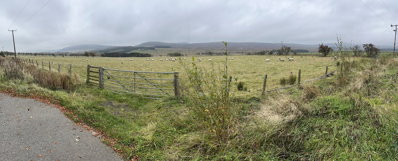 Cock Burn loop