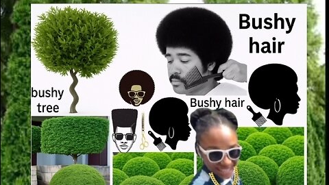 TERRESTRIAL ECOSYSTEM 🌴 🌲 🌳 🌱 🪴