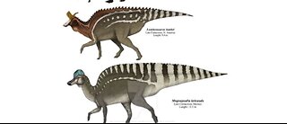 Diverse Dinos #hadrosaurs