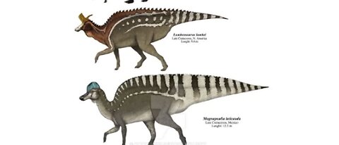 Diverse Dinos #hadrosaurs