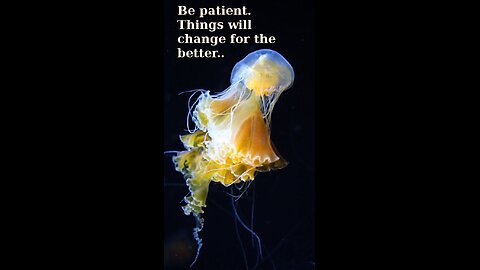 Colton 🦉 560 ~ Praise Him - Melodie Malone