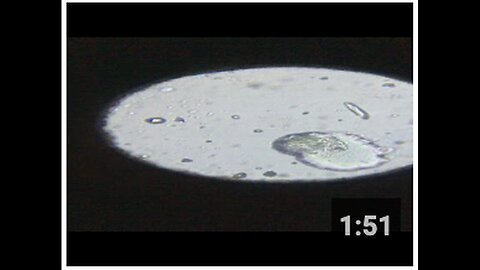 "Part 2: Lipid Nanoparticle Emerged from Skin via Synthetic Biology"